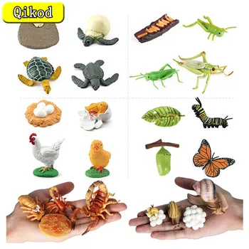Montessori Rannom Detstve, Zvierat, Hmyzu Cyklu Rastu Model Butterfly Kuracie Dinosaura Sea Life Akcie Obrázok Dieťa Hračky