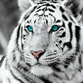 LZAIQIZG 5D DIY Plné Námestie/Round-Diamond Maľovanie Biely Tiger Diamond Výšivky Predaj Zvierat Remeselníkov, Dekorácie Pre Domov
