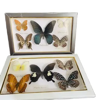 Krásny Motýľ Vzor dekoratívne maľby Kolekcia/Motýľ Photo Frame Umelecké Dekorácie, Svadobné Domáce Dekorácie