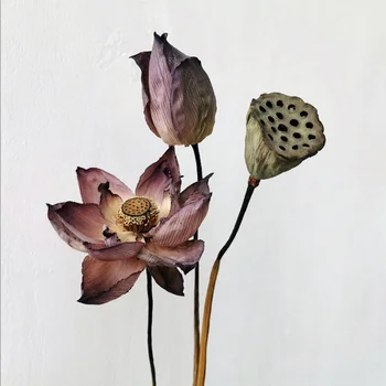 1Pcs Skutočné Rastliny Lotus Prírodné Sušené Kvety Krása pre Glamour Domova Recepcia Strany Úradu Obývacia Izba Umelé Remeslá