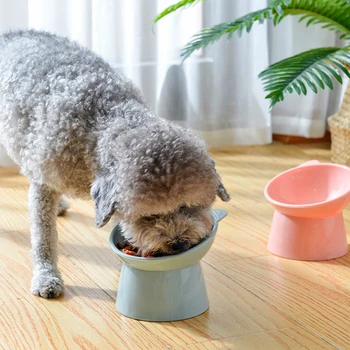 High-footed Mačka a Pes Misy 45°krku Ochrany Čistá Farba PP Materiál Pet Pitnej Misy Anti-dumping Binaural Pet Kŕmenie Misa